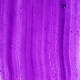 Subrina Professional Colour Direct Purple 200ml